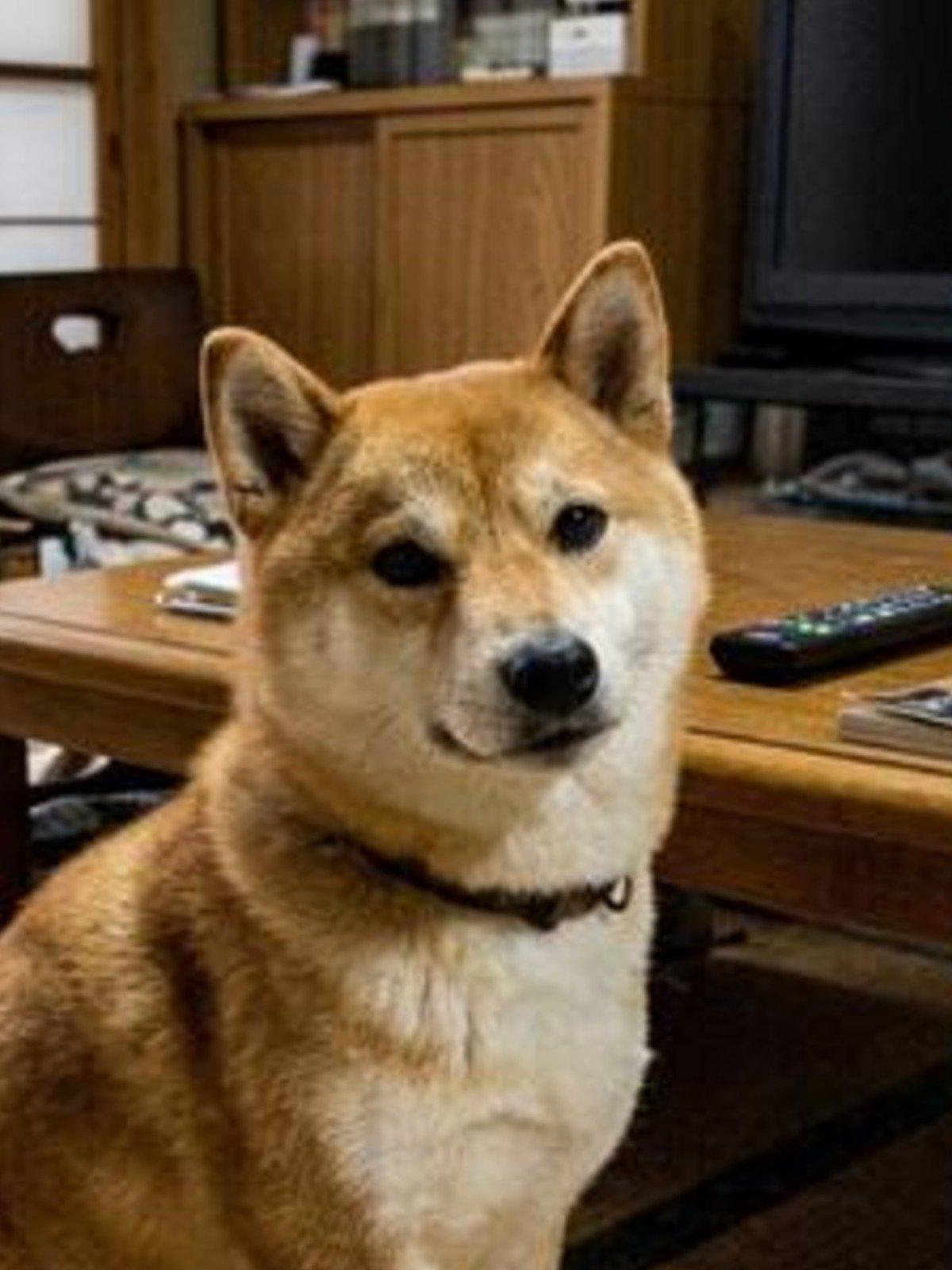 さんぷる